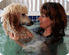 Cathy and Eureka explore getting to know each other on the first day of our July 2005 Level One Canine Water Therapy Training Class